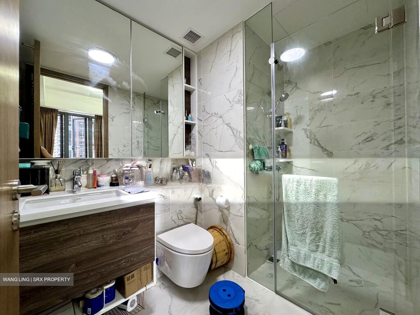 Parc Botannia (D28), Condominium #502134951